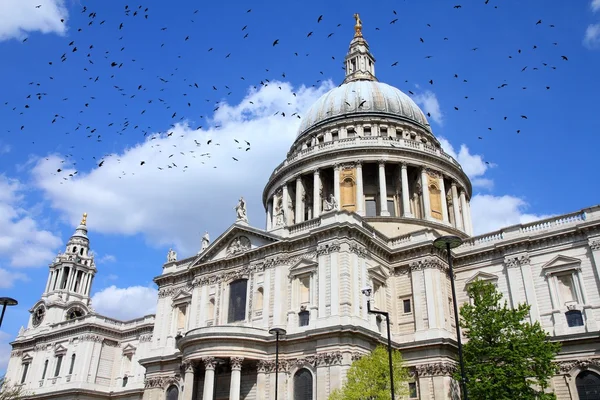 London landmark with birds — Stock Photo, Image