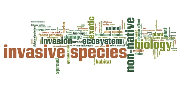 Invasive species - word cloud — Stock Photo, Image