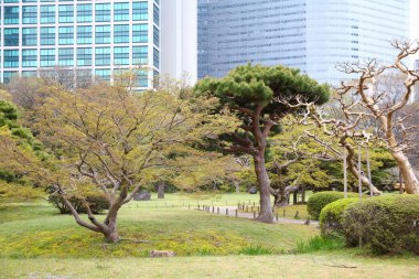 Hamarikyu bahçeleri, Japonya