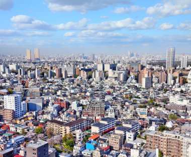 Tokyo, Japonya şehir