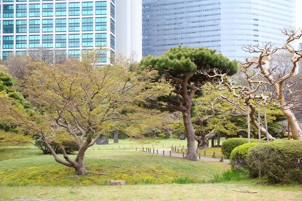 Jardins Hamarikyu, Japon — Photo