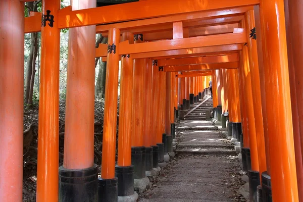 Japonya Simgesel Yapı - Fushimi Inari — Stok fotoğraf