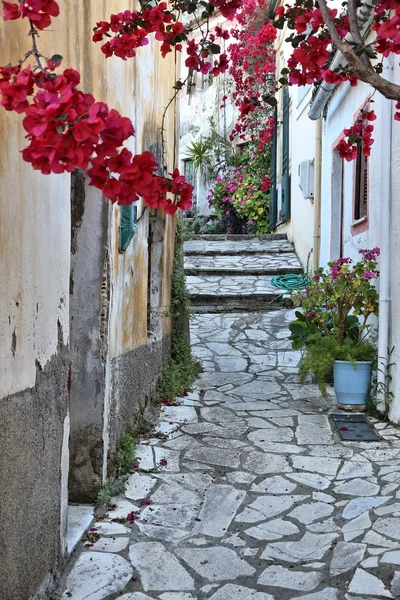 Corfu grekisk by — Stockfoto