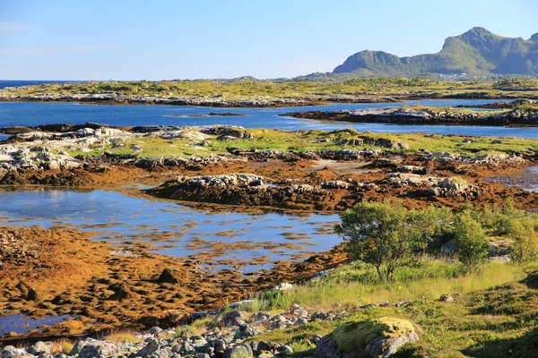 Lofoten táj kilátással a tengerre — Stock Fotó