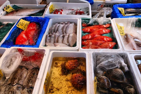 Mercado do peixe Japão — Fotografia de Stock