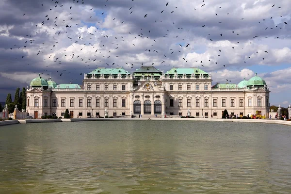 Vienna, Austria with birds — Stock Photo, Image