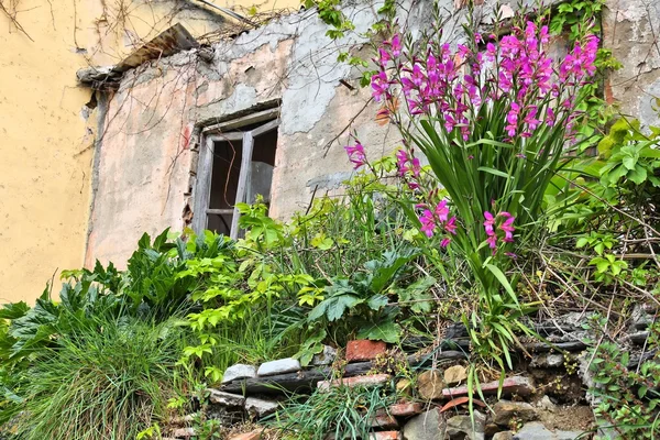 Italy abandoned house — Stock Photo, Image
