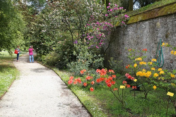 Ogród botaniczny w Lucca — Zdjęcie stockowe