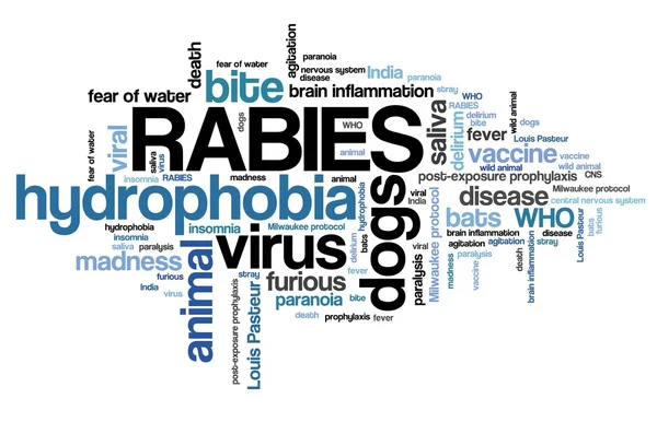 Rabies - word cloud — Stock Photo, Image