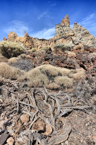 Parque Nacional de Teide — Fotografia de Stock