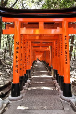 Fushimi Inari Japonya'da
