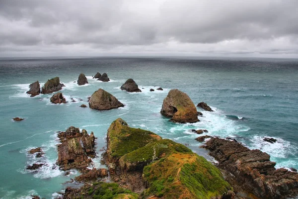 Catlins, Νέα Ζηλανδία — Φωτογραφία Αρχείου