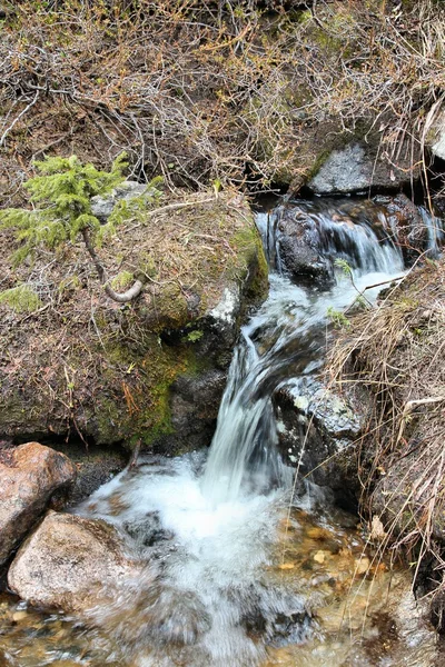 Bäcken i klippiga bergen — Stockfoto