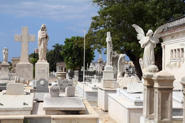 Túmulos do cemitério de Havana — Fotografia de Stock