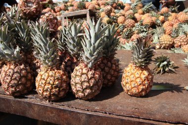 ananas bir Pazar