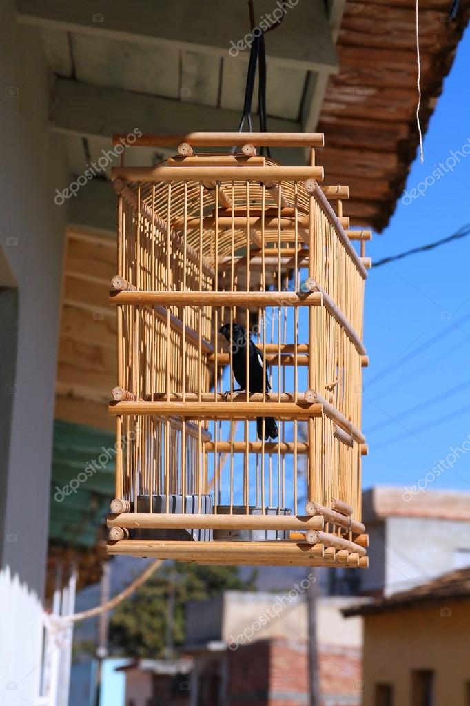 Cuba bird cage pet Stock Photo by ©tupungato 122340280