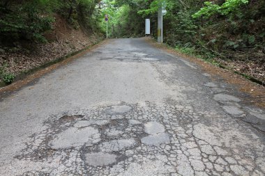 Yol hasar Japonya