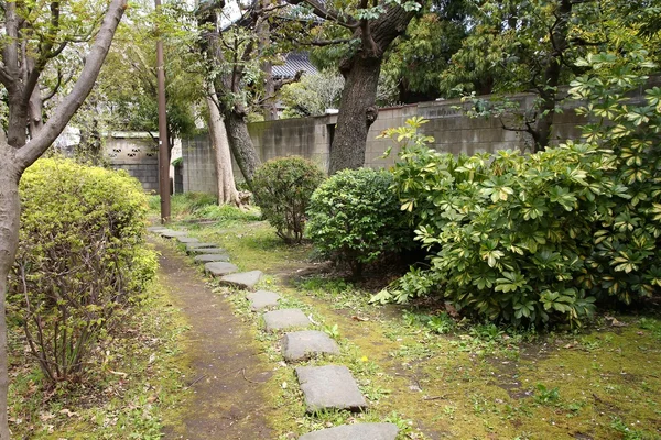 隅田公園、東京 — ストック写真