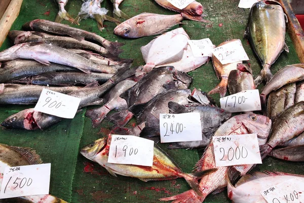 東京魚市場 — ストック写真