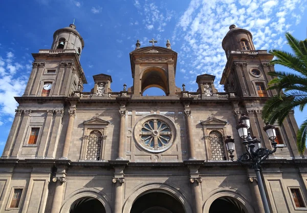 Catedral de las palmas — Fotografia de Stock