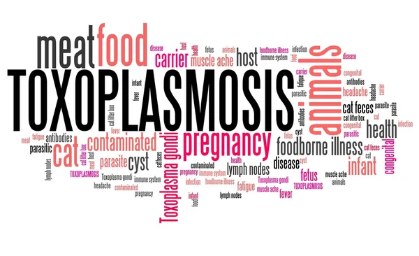 Toxoplasmosis - nube de palabras —  Fotos de Stock