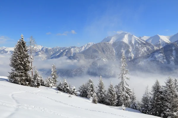 Europa ski resort — Stockfoto