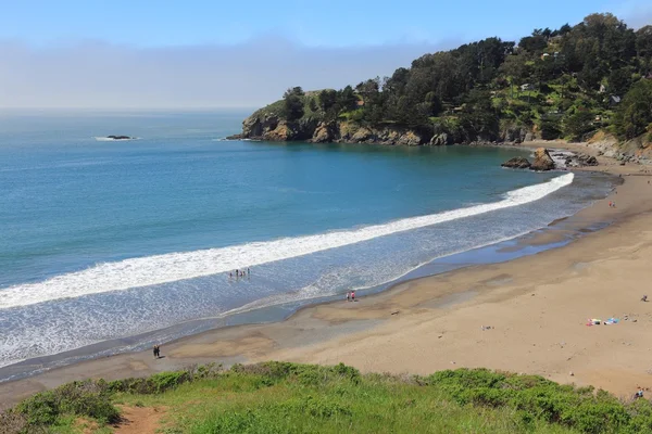 Muir Beach, Californië — Stockfoto