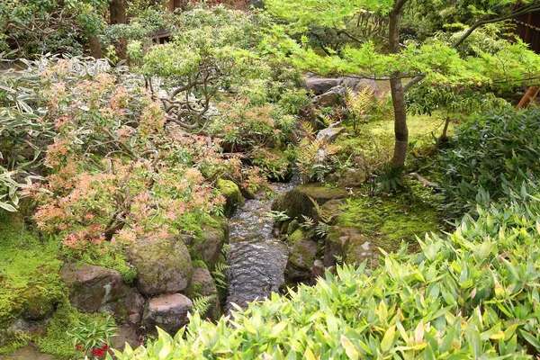 Japon bahçe içinde nara — Stok fotoğraf
