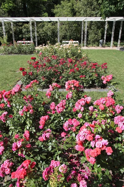 Parque de Budapest, Hungría — Foto de Stock