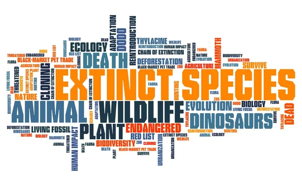 Extinction word cloud