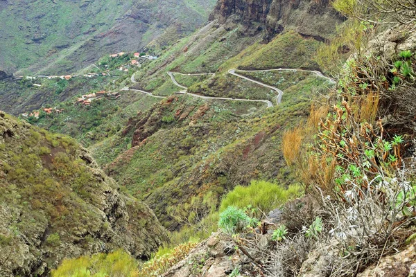 Masca, krajina Tenerife — Stock fotografie