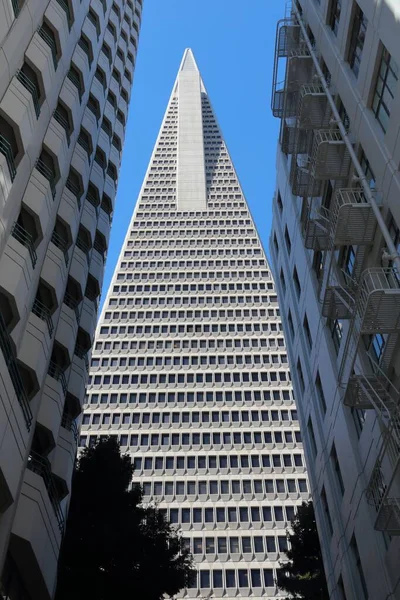 San Francisco Сша April 2014 Пірамідний Хмарочос Transamerica Сан Франциско — стокове фото