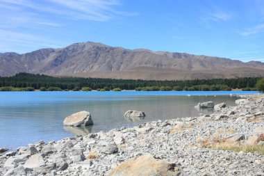 Yeni Zelanda doğası. Canterbury bölgesindeki Tekapo Gölü manzarası.