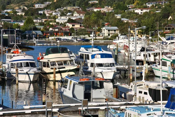 Picton ニュージーランド 2009年3月6日 ピクトン港のマリーナでのボート ピクトンはニュージーランドの北の島と南の島を結ぶ重要な港です — ストック写真