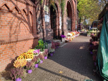 BYTOM, POLAND - 25 Ekim 2020: Polonya 'daki Azizler Günü' nden (Wszystkich Swietych) bir hafta önce mezarlıkta satılık çiçekler.