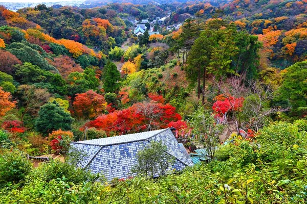 가마쿠라 공중에서 — 스톡 사진