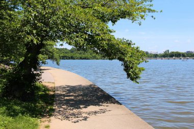 Washington D.C. - Tidal Basin boyunca Batı Potomac Parkı yolu.