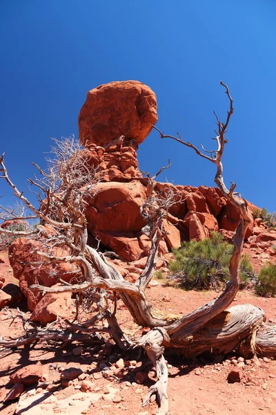 Balanced Rock Arches National Park Utah Usa American Landscape Utah — Stock Photo, Image