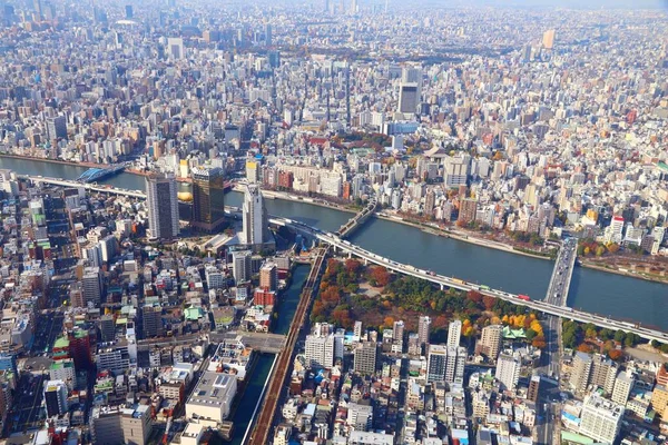 Tokyo city aerial view with shadow of a tall building. Sumida river.