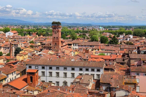 Lucca Itálie Středověké Město Toskánsko Pohled Panorama Věží Guinigi — Stock fotografie