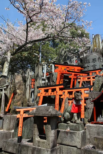 Kyoto Japón Abril 2012 Flores Cerezo Primavera Lugar Sagrado Santuario — Foto de Stock