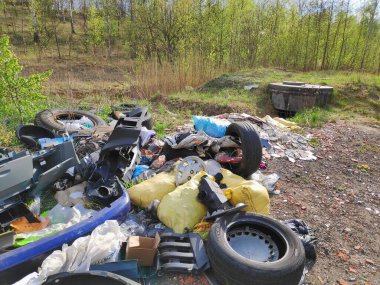 KATOWICE, POLAND - 2 Mayıs 2020: Polonya 'nın Silezya bölgesinde Katowice yakınlarındaki bir orman otoparkında yasadışı olarak terk edilmiş çöp.