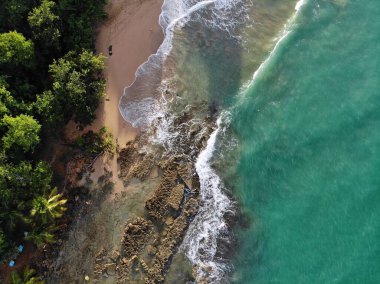 Guadeloupe kumlu kumsal drone hava görüntüsü. Karayip tatil manzarası. Clugny plajı (Plage de Clugny).