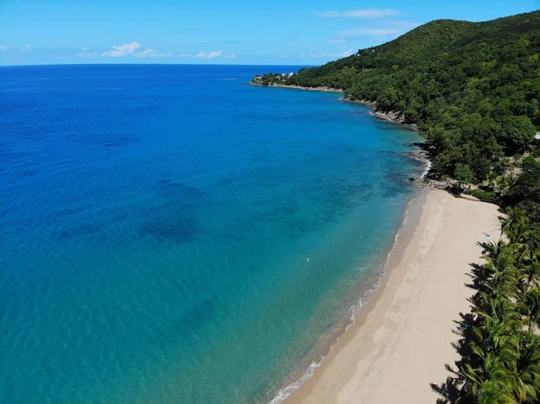 Guadeloupe Uitzicht Drone Caribisch Vakantielandschap Grande Anse Zandstrand Het Eiland — Stockfoto