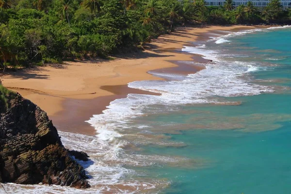 Guadeloupe Sandstrand Der Insel Basse Terre Karibische Urlaubslandschaft Strand Grand — Stockfoto