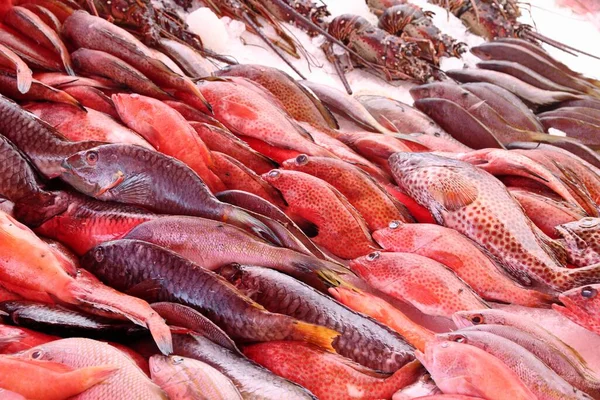 Guadeloupe Fish Market Pointe Pitre Biggest City Guadeloupe Sea Bream — Stock Photo, Image