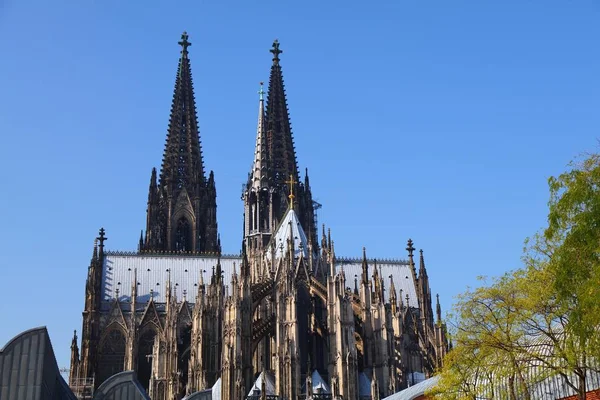 ドイツのケルンのランドマーク ドイツのユネスコ世界遺産 ケルン大聖堂 — ストック写真