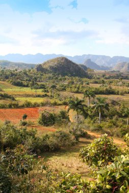 Küba manzarası. Vinales Ulusal Parkı 'nda karistik kayalar mogotlar. UNESCO Dünya Mirası Alanı.