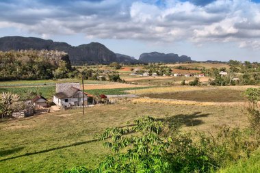 Küba manzarası. Vinales Ulusal Parkı 'nda mogotlar. Küba kırsalında. UNESCO Dünya Mirası Alanı.