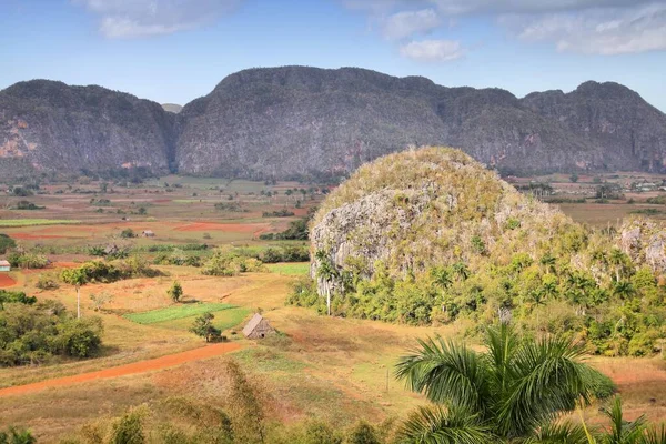 Krajobraz Kuby Mogoty Skał Krasowych Parku Narodowym Vinales Lista Światowego — Zdjęcie stockowe
